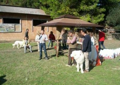 RassemblementNationalChienBergerMaremmeAbruzzes