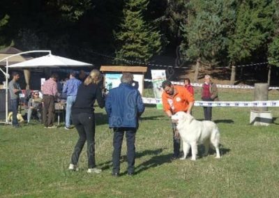 RassemblementNationalChienBergerMaremmeAbruzzes